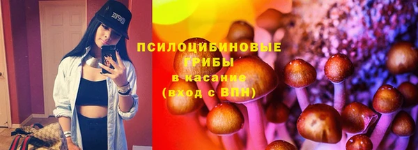 ешки Медногорск