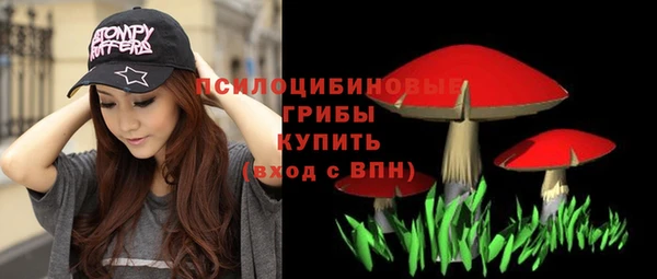 ешки Медногорск