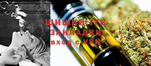 ешки Медногорск