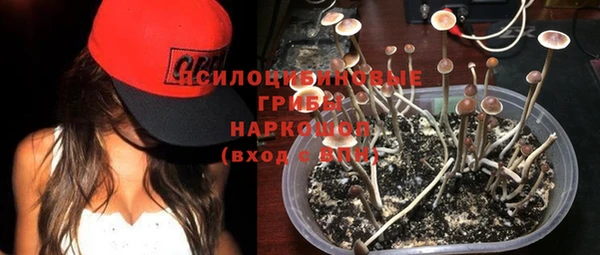 ешки Медногорск