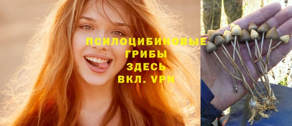 ешки Медногорск