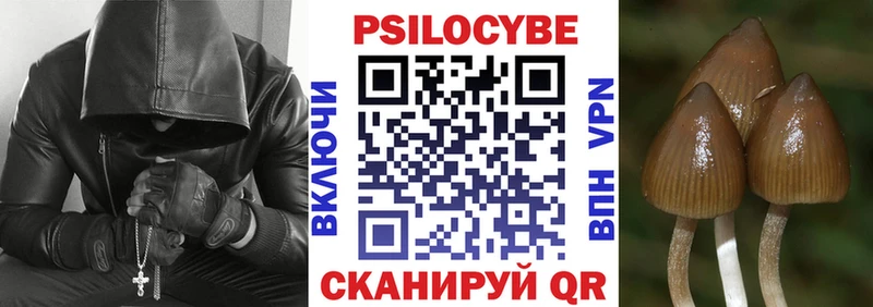 Псилоцибиновые грибы Psilocybine cubensis  блэк спрут рабочий сайт  Никольское 
